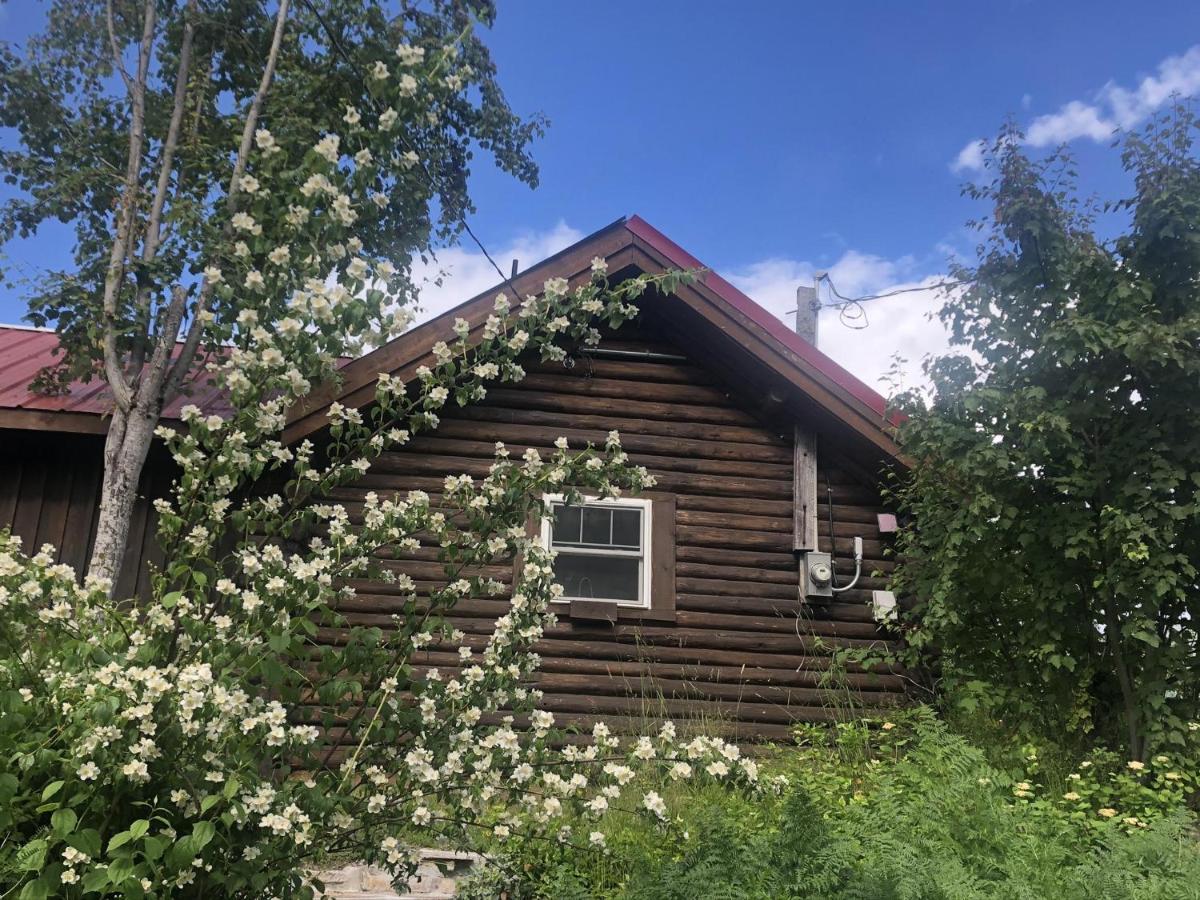 Morning Star Log Cabin Nelson Luaran gambar