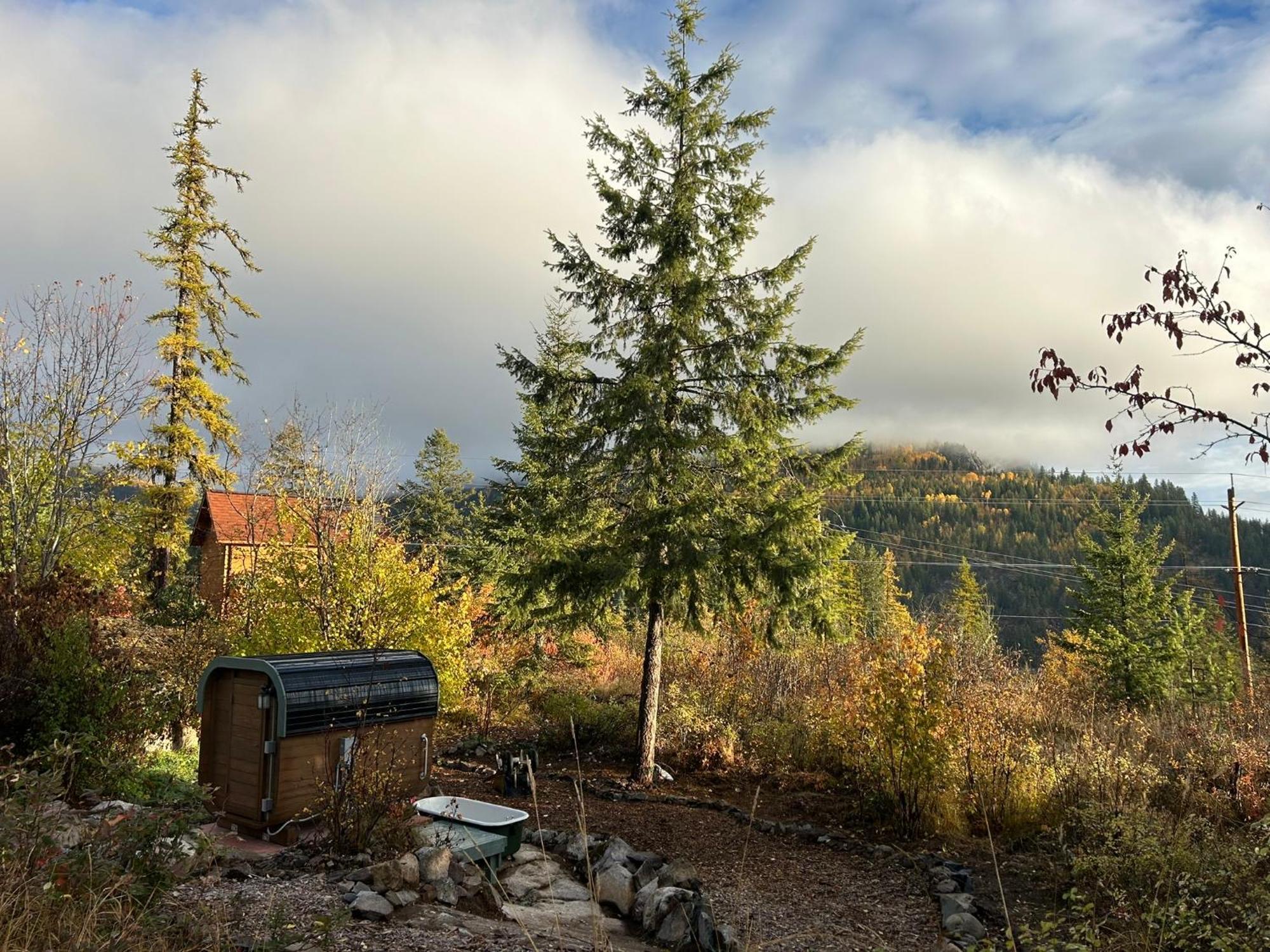 Morning Star Log Cabin Nelson Bilik gambar