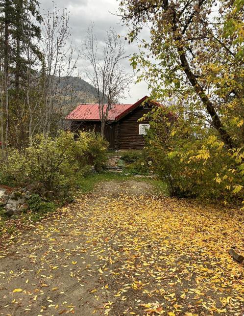 Morning Star Log Cabin Nelson Luaran gambar